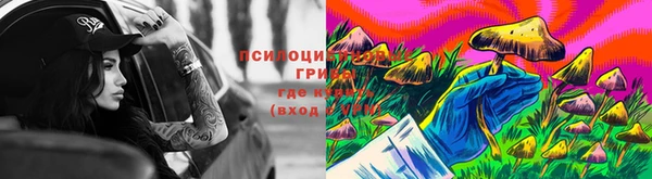 2c-b Нязепетровск