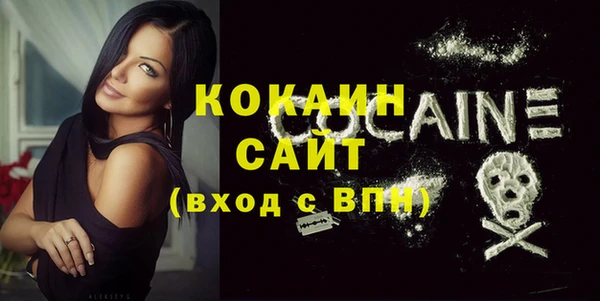 ешки Няндома