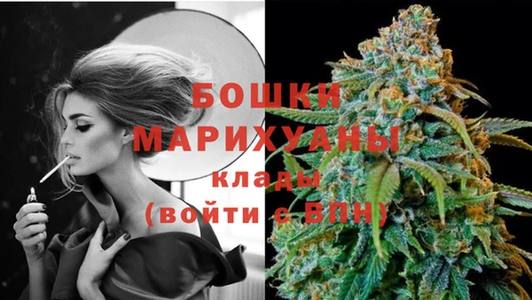 хмурый Осинники