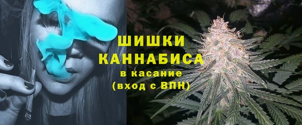ешки Няндома