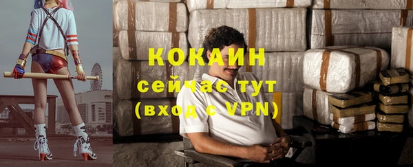 ешки Няндома