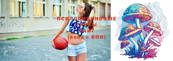 ешки Няндома