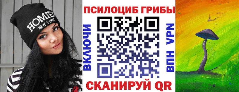 Псилоцибиновые грибы MAGIC MUSHROOMS darknet как зайти Новотроицк MEGA сайт