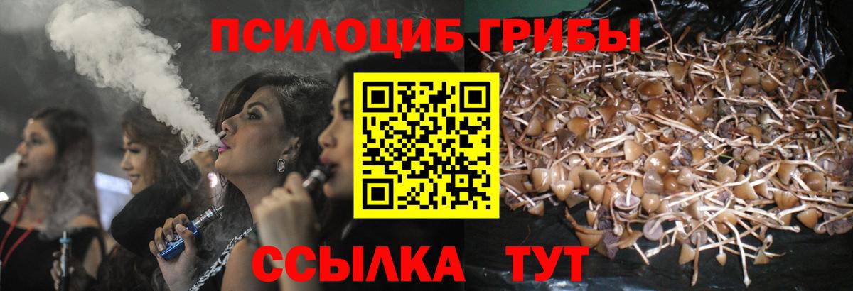 Псилоцибиновые грибы GOLDEN TEACHER  Псилоцибиновые грибы GOLDEN TEACHER  Вход с VPN  Новотроицк 