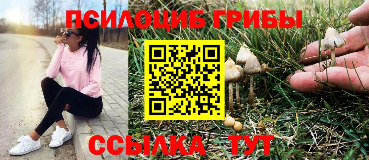 Галлюциногенные грибы прущие грибы Новотроицк